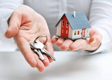 Our Services